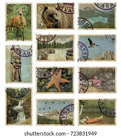 Postage stamps with Canada wild animals and nature landscapes. National parks. Canada nature wild life protect and travel. Vintage style. Isolated on a white background
