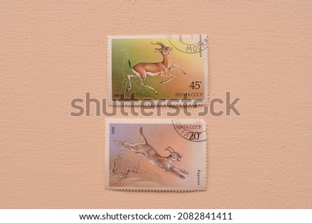 postage stamps isolated on a wooden background with images of animals and fish background, top view.