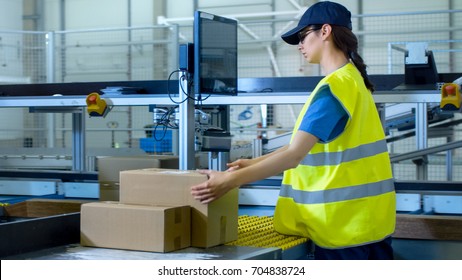 Postal Sorting Office Workers Put Cardboard Boxes On Belt Conveyor