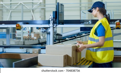 Postal Sorting Office Workers Put Cardboard Boxes On Belt Conveyor