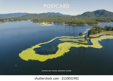 Postcard Aerial Of Teemburra Dam, Australia, Showing Algae Build Up Around Land Features With Cattle Grazing And Dead Trees