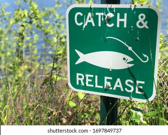 Posted Catch And Release Fishing Sign Near Lake In The Springtime.