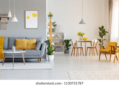 Poster above grey sofa with yellow cushions in open space interior with chairs at dining table. Real photo - Shutterstock ID 1130731787