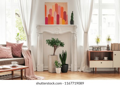 Poster above plants in white living room interior with wooden cupboard and sofa. Real photo