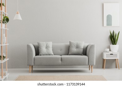 Afiche sobre el armario blanco con una planta al lado del sofá gris en el interior de un sencillo salón. Foto real