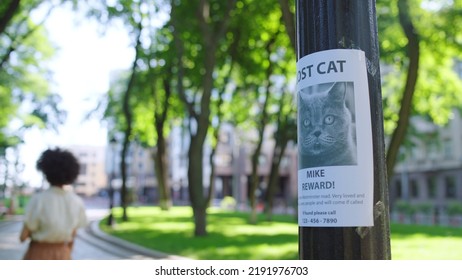 Poster With Missing Cat Picture Hanging On Tree In Park, Pet Rescue Services