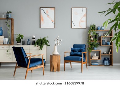 Posters and plants in bright living room interior with navy blue armchairs and flowers. Real photo - Shutterstock ID 1166839978