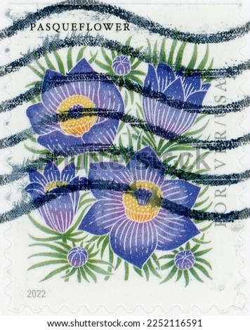 Postmarked 2022 Pasqueflower U.S. coil regular issue postage stamp from the Mountain Flora series with a denomination of First-class Forever (58 cents when issued).