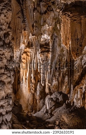 Postojna underground  caves with stalactites, stalagmites, colums and curtains.