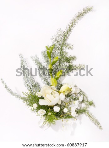 Similar – Flower frame on white background