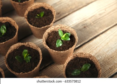 Pot.
