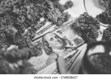 The Pot Buds. Cannabis Money Black Market. Cannabis In Economics. White Background.