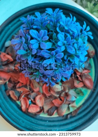 A pot of fake purple flowers in a round plate, surrounded by a sprinkling of crown's god fruit flakes