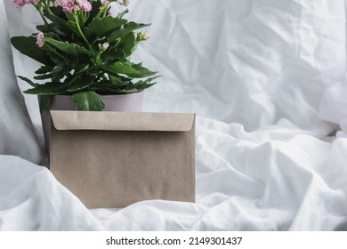 A Pot With A Pink House Plant Stands On A Snow-white Linen Tablecloth.Convet With A Letter.