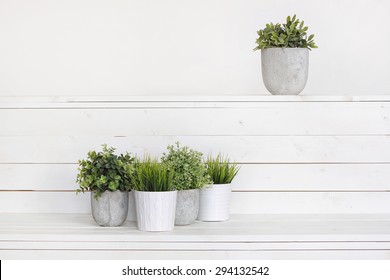 Pot Plants In White Pots And Concrete On A Background Of White B