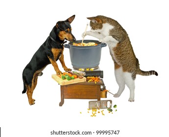 Pot Watcher, Dog And Cat Are Cooking