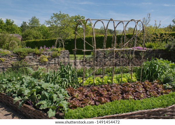 ポタガー 観賞用野菜またはキッチンガーデン とイギリス デボンの自家栽培有機農産物 の写真素材 今すぐ編集