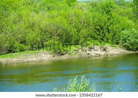Potamology. The Don River in the middle reaches. Strong river flow and floodplain forest consisting mainly of white willow, mock valley. Traces of spring flooding and water decline are visible