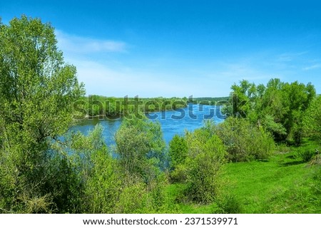 Potamology. The Don River in the middle reaches. Strong river flow and floodplain forest consisting mainly of white willow, mock valley