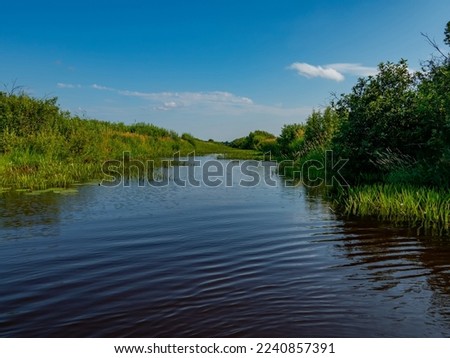 Potamology: headwaters. Minor northern swamp river with short course, slow current. Banks are covered with willow bushes and Fresh-water soldier. Waterlogging, paludification. Typical muskrat habitat