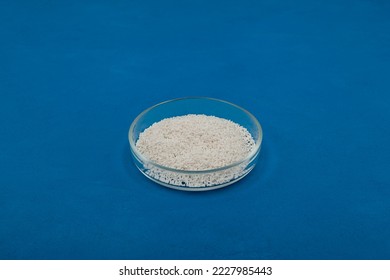 Potassium sorbate, potassium salt of sorbic acid in glass petri dish on blue, selective focus. Food additive E202. Potassium sorbate is used to inhibit molds and yeasts in many foods. - Shutterstock ID 2227985443