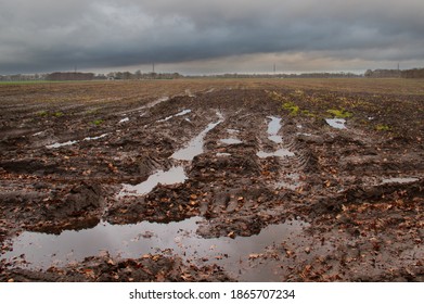 Potato field after harvest in autumn: puddles in tyre tracks under dark clouds