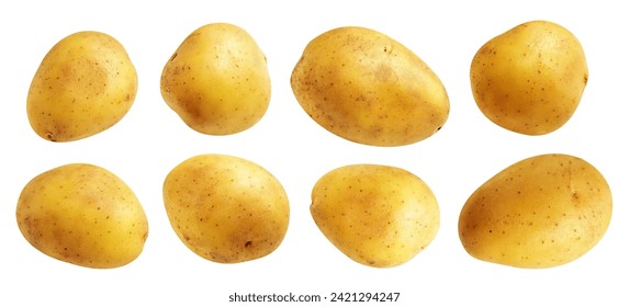 Potato isolated with clipping path in white background, no shadow, raw vegetables, cooking ingredient
