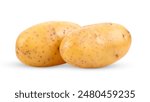 potato isolated on white background