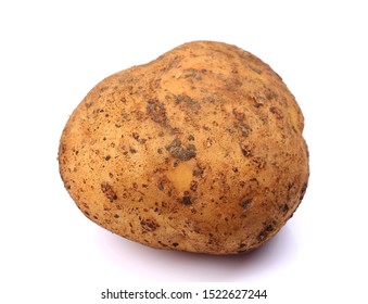Potato  isolated on white background