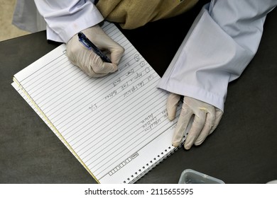 Potato Leaf DNA Extraction Procedure In Laboratory