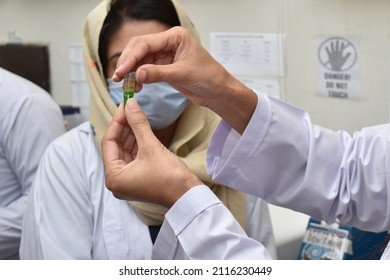 Potato Leaf DNA Extraction Procedure In Laboratory