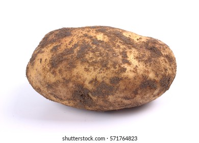 Potato On White Background