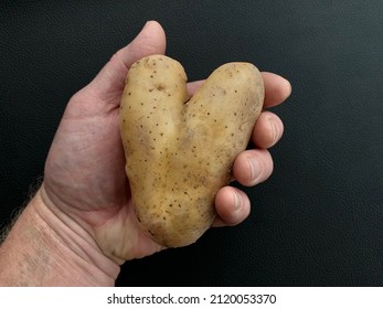 Potato in the shape of a heart. Potato fruits of an unusual shape. Vegetables isolated on black background. Concept: love potatoes. - Shutterstock ID 2120053370