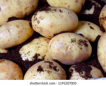 potatoes close up