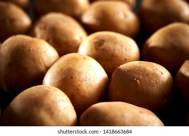 Potatoes with dramatic lighting background 