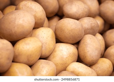 Potatoes- Full frame image of a bunch of clean, ripe, freshly harvested, white potatoes. A starchy, carbohydrate rich root vegetable native to the Americas, the potato is consider a staple tuber food. - Powered by Shutterstock