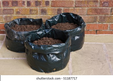 Potatoes Growing In Bags