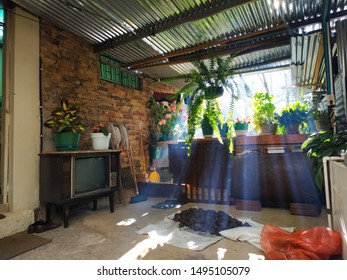 Potatoes With Ligth Ray In Old Colombian House 