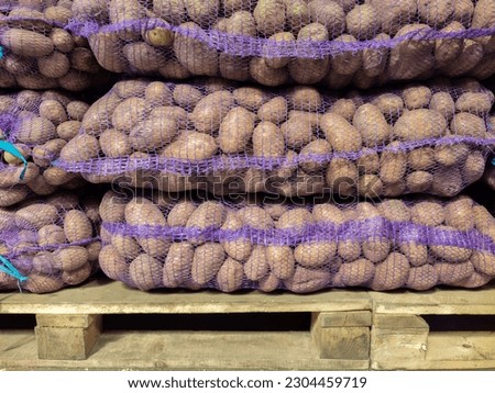 Potatoes in mesh bags on pallets for sale at the farmers' market. Vegetable trade. Close-up.