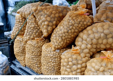 Potatoes packed inside a burlap sack, highlighting freshly harvested agricultural produce. Staple root vegetables commonly used in cooking, food markets, and farm-to-table concepts.
