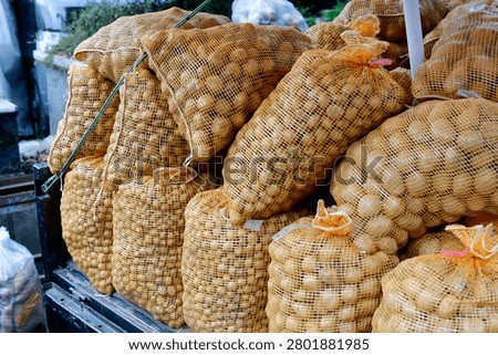 Potatoes packed inside a burlap sack, highlighting freshly harvested agricultural produce. Staple root vegetables commonly used in cooking, food markets, and farm-to-table concepts.