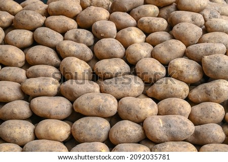 Potatoes for sale at vegetable market, close up. Boxes full of potatoes in shop. Fresh potato at the greengrocer's stall.  