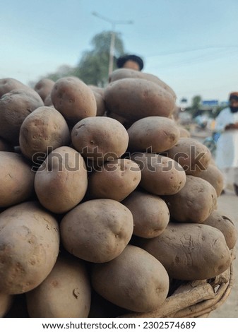 Potatoes are a starchy root vegetable that are a staple in many diets around the world. They are rich in potassium, vitamin C, and fiber.