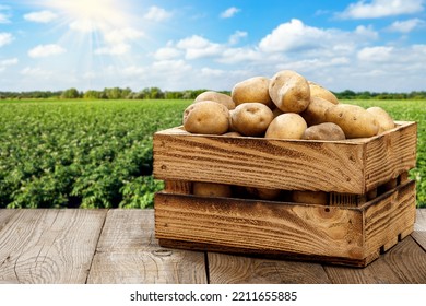 potatoes in wooden crate on table with green field on sunny day - Shutterstock ID 2211655885