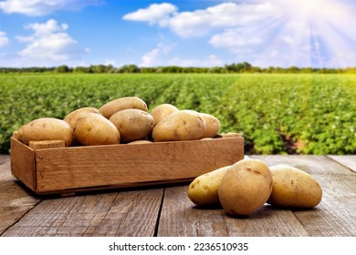 potatoes in wooden crate on table with green field on background - Shutterstock ID 2236510935