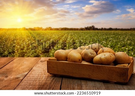 potatoes in wooden crate on table with green field on sunset
