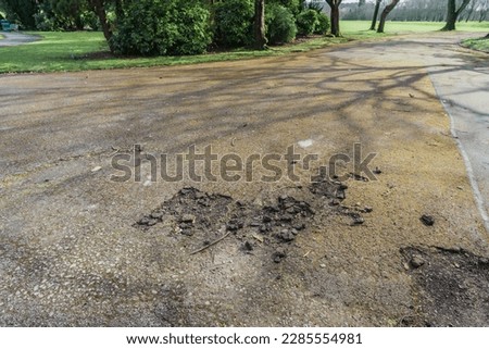 Potholes on formal park pathway, travel, infrastructure and background concept illustration.