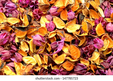 Potpourri