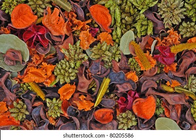 Potpourri