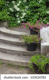 Pots with colorful flowers decorating stone steps in a garden. - Shutterstock ID 153524783